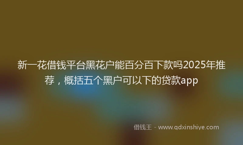 新一花借钱平台黑花户能百分百下款吗2025年推荐，概括五个黑户可以下的贷款app