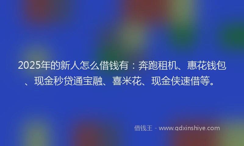 2025年的新人怎么借钱有：奔跑租机、惠花钱包、现金秒贷通宝融、喜米花、现金侠速借等。
