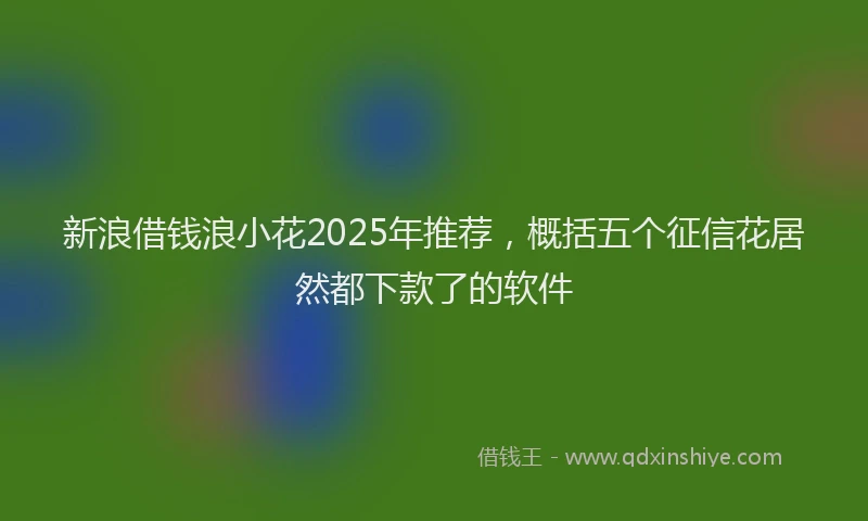 新浪借钱浪小花2025年推荐，概括五个征信花居然都下款了的软件