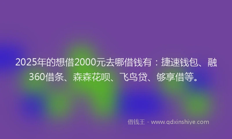2025年的想借2000元去哪借钱有：捷速钱包、融360借条、森森花呗、飞鸟贷、够享借等。