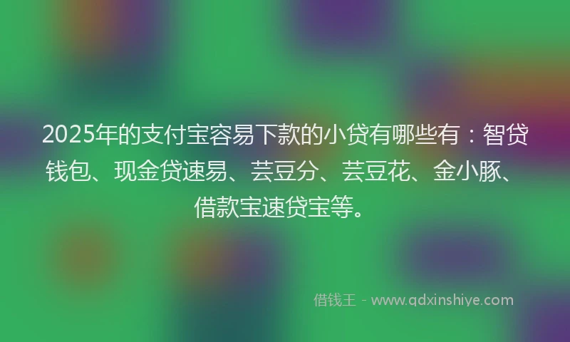 2025年的支付宝容易下款的小贷有哪些有：智贷钱包、现金贷速易、芸豆分、芸豆花、金小豚、借款宝速贷宝等。