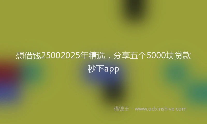 想借钱25002025年精选，分享五个5000块贷款秒下app