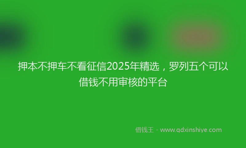 押本不押车不看征信2025年精选，罗列五个可以借钱不用审核的平台