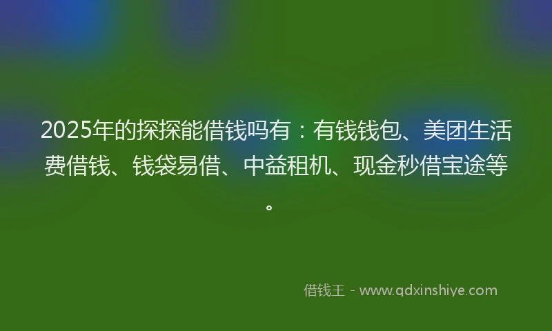 2025年的探探能借钱吗有：有钱钱包、美团生活费借钱、钱袋易借、中益租机、现金秒借宝途等。