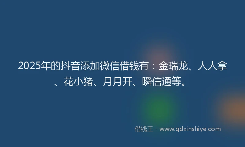 2025年的抖音添加微信借钱有：金瑞龙、人人拿、花小猪、月月开、瞬信通等。