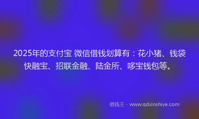 2025年的支付宝 微信借钱划算有：花小猪、钱袋快融宝、招联金融、陆金所、哆宝钱包等。