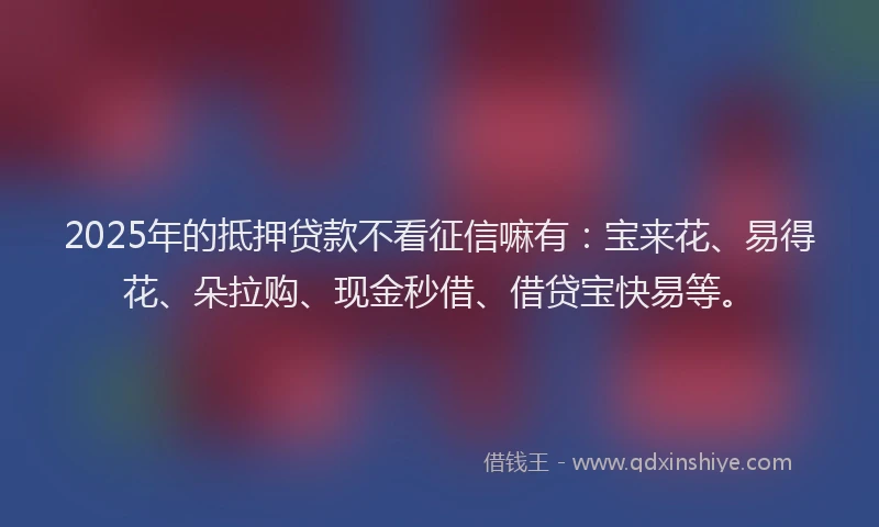 2025年的抵押贷款不看征信嘛有：宝来花、易得花、朵拉购、现金秒借、借贷宝快易等。