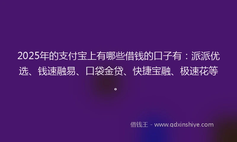 2025年的支付宝上有哪些借钱的口子有：派派优选、钱速融易、口袋金贷、快捷宝融、极速花等。