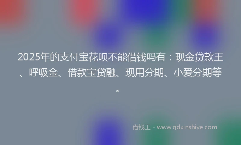 2025年的支付宝花呗不能借钱吗有：现金贷款王、呼吸金、借款宝贷融、现用分期、小爱分期等。
