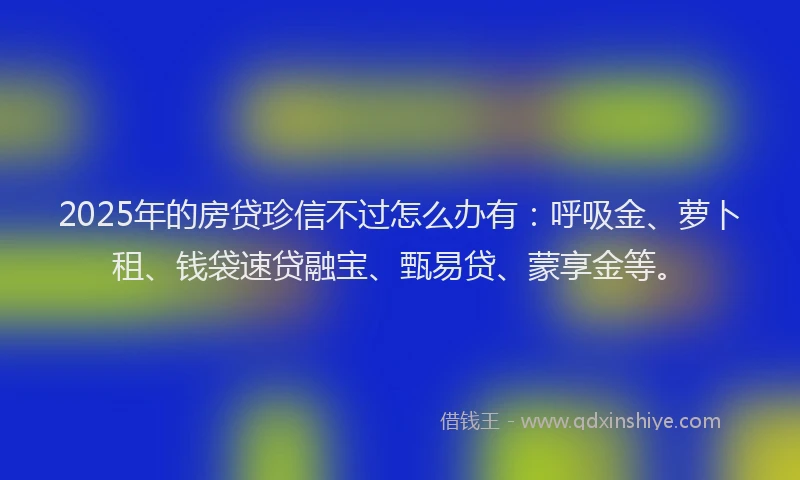 2025年的房贷珍信不过怎么办有：呼吸金、萝卜租、钱袋速贷融宝、甄易贷、蒙享金等。