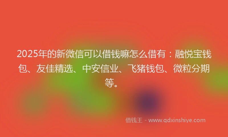 2025年的新微信可以借钱嘛怎么借有：融悦宝钱包、友佳精选、中安信业、飞猪钱包、微粒分期等。