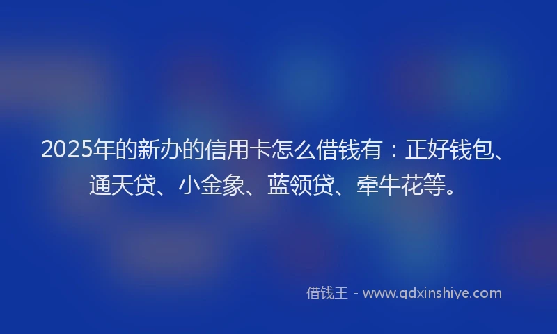 2025年的新办的信用卡怎么借钱有：正好钱包、通天贷、小金象、蓝领贷、牵牛花等。