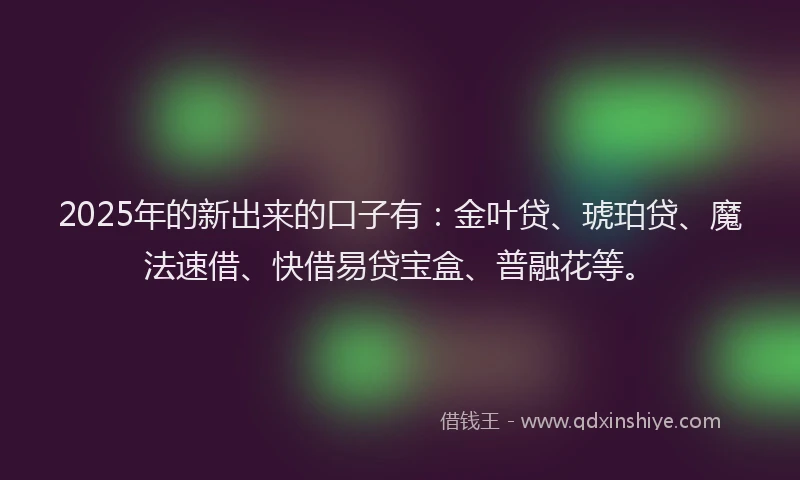 2025年的新出来的口子有：金叶贷、琥珀贷、魔法速借、快借易贷宝盒、普融花等。