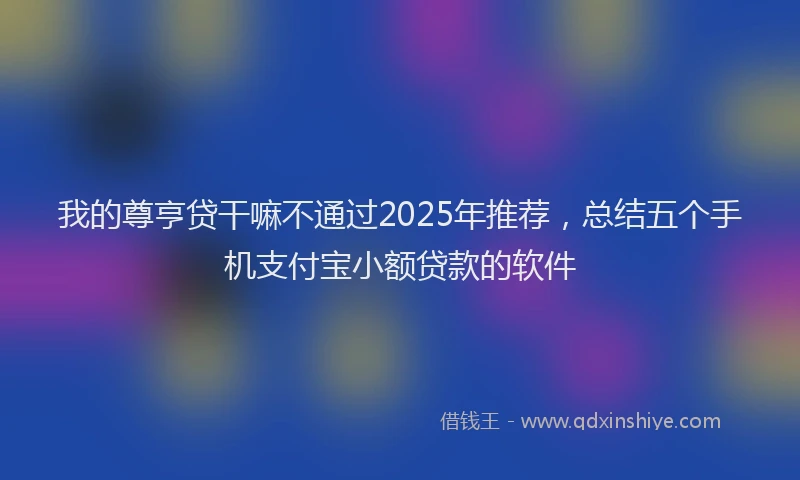 我的尊亨贷干嘛不通过2025年推荐，总结五个手机支付宝小额贷款的软件