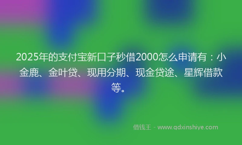 2025年的支付宝新口子秒借2000怎么申请有：小金鹿、金叶贷、现用分期、现金贷途、星辉借款等。