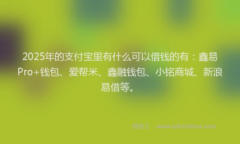 2025年的支付宝里有什么可以借钱的有：鑫易Pro+钱包、爱帮米、鑫融钱包、小铭商城、新浪易借等。