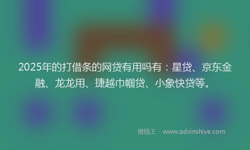 2025年的打借条的网贷有用吗有：星贷、京东金融、龙龙用、捷越巾帼贷、小象快贷等。