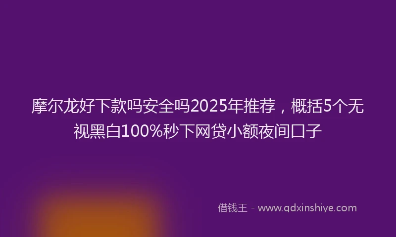 摩尔龙好下款吗安全吗2025年推荐，概括5个无视黑白100%秒下网贷小额夜间口子