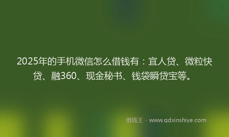 2025年的手机微信怎么借钱有：宜人贷、微粒快贷、融360、现金秘书、钱袋瞬贷宝等。