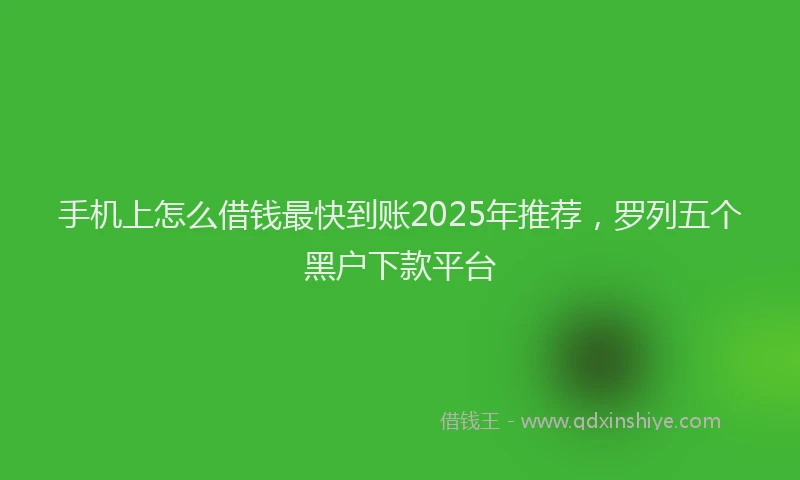 手机上怎么借钱最快到账2025年推荐，罗列五个黑户下款平台