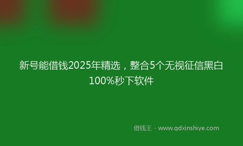 新号能借钱2025年精选，整合5个无视征信黑白100%秒下软件