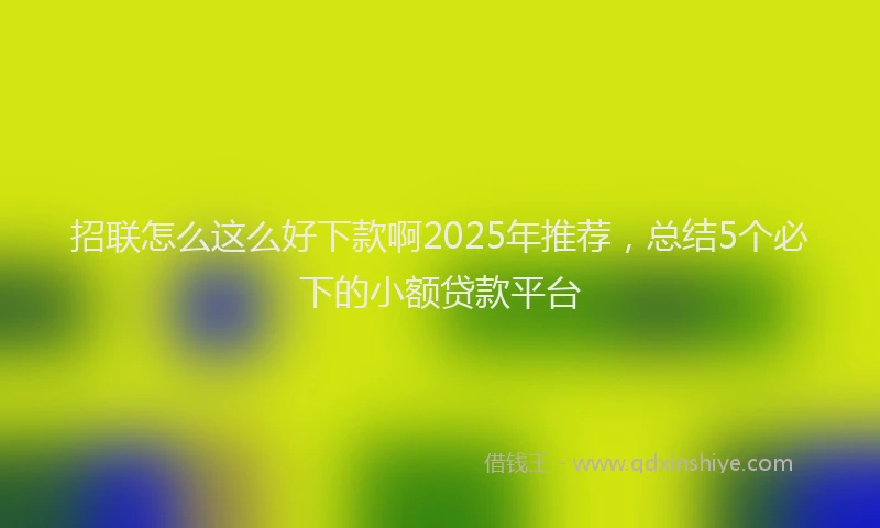 招联怎么这么好下款啊2025年推荐，总结5个必下的小额贷款平台