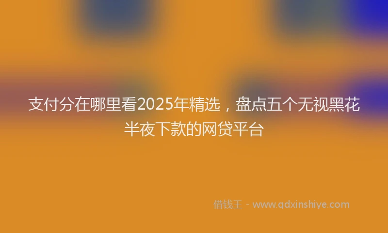 支付分在哪里看2025年精选，盘点五个无视黑花半夜下款的网贷平台