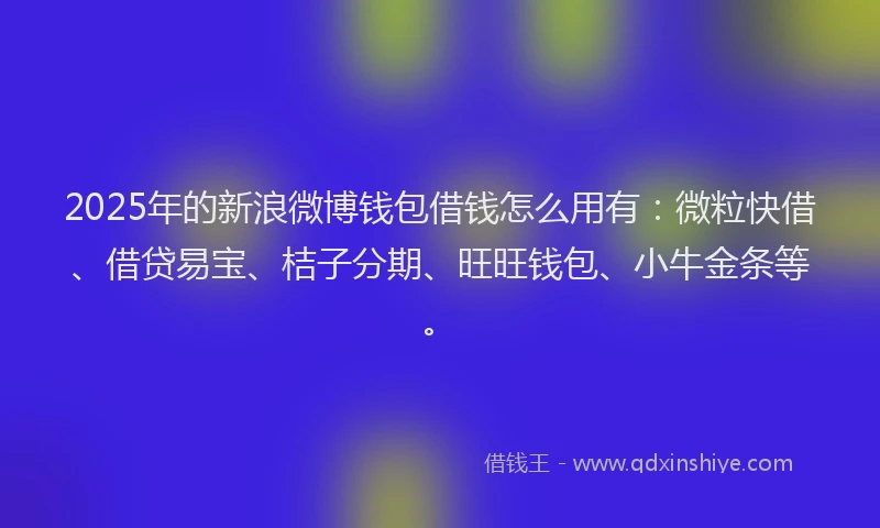 2025年的新浪微博钱包借钱怎么用有：微粒快借、借贷易宝、桔子分期、旺旺钱包、小牛金条等。