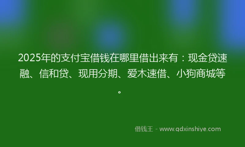 2025年的支付宝借钱在哪里借出来有：现金贷速融、信和贷、现用分期、爱木速借、小狗商城等。
