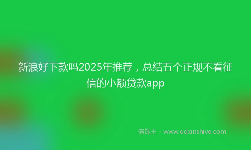 新浪好下款吗2025年推荐，总结五个正规不看征信的小额贷款app
