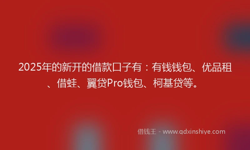 2025年的新开的借款口子有：有钱钱包、优品租、借蛙、翼贷Pro钱包、柯基贷等。