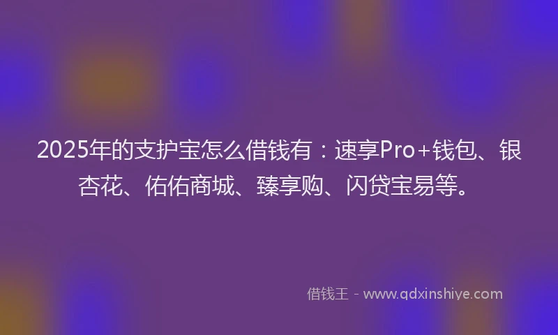 2025年的支护宝怎么借钱有：速享Pro+钱包、银杏花、佑佑商城、臻享购、闪贷宝易等。