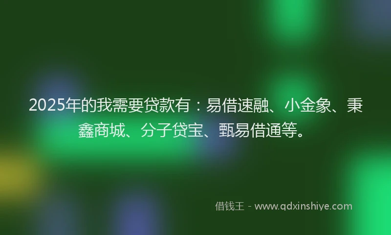 2025年的我需要贷款有：易借速融、小金象、秉鑫商城、分子贷宝、甄易借通等。