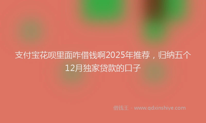 支付宝花呗里面咋借钱啊2025年推荐，归纳五个12月独家贷款的口子