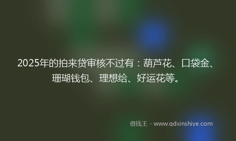 2025年的拍来贷审核不过有：葫芦花、口袋金、珊瑚钱包、理想给、好运花等。