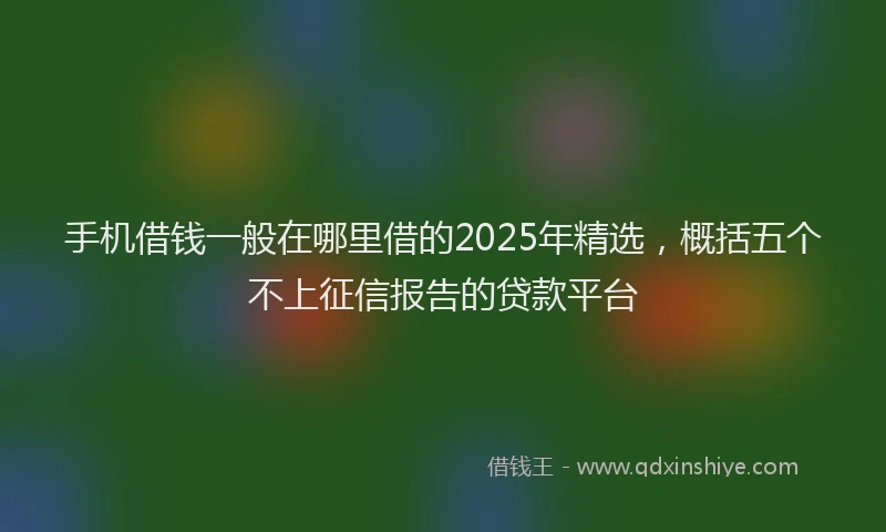 手机借钱一般在哪里借的2025年精选，概括五个不上征信报告的贷款平台