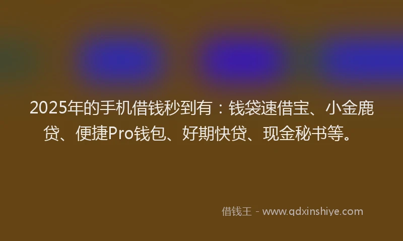 2025年的手机借钱秒到有：钱袋速借宝、小金鹿贷、便捷Pro钱包、好期快贷、现金秘书等。