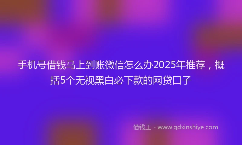 手机号借钱马上到账微信怎么办2025年推荐，概括5个无视黑白必下款的网贷口子