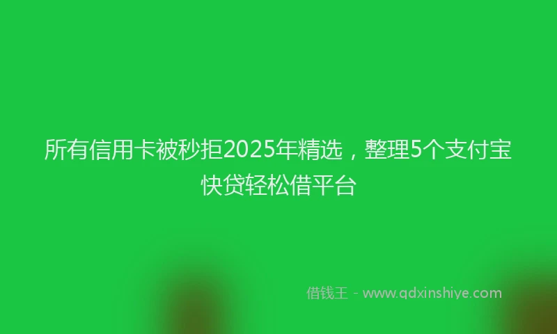 所有信用卡被秒拒2025年精选，整理5个支付宝快贷轻松借平台