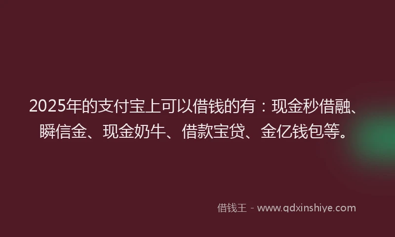 2025年的支付宝上可以借钱的有：现金秒借融、瞬信金、现金奶牛、借款宝贷、金亿钱包等。