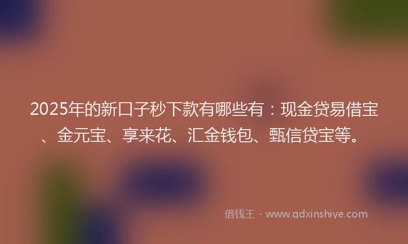 2025年的新口子秒下款有哪些有：现金贷易借宝、金元宝、享来花、汇金钱包、甄信贷宝等。
