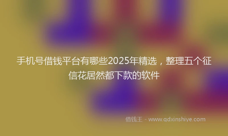 手机号借钱平台有哪些2025年精选，整理五个征信花居然都下款的软件