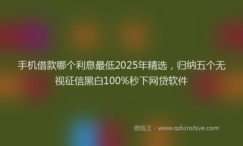 手机借款哪个利息最低2025年精选，归纳五个无视征信黑白100%秒下网贷软件