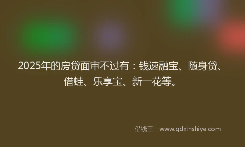 2025年的房贷面审不过有：钱速融宝、随身贷、借蛙、乐享宝、新一花等。
