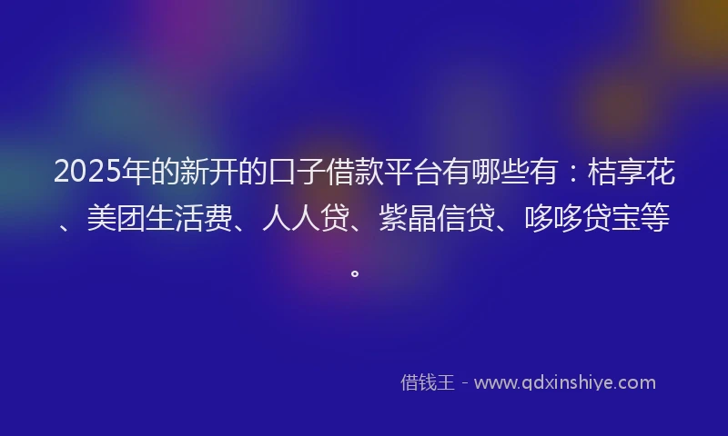 2025年的新开的口子借款平台有哪些有：桔享花、美团生活费、人人贷、紫晶信贷、哆哆贷宝等。