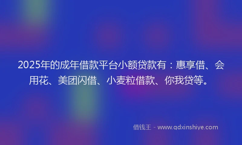 2025年的成年借款平台小额贷款有：惠享借、会用花、美团闪借、小麦粒借款、你我贷等。