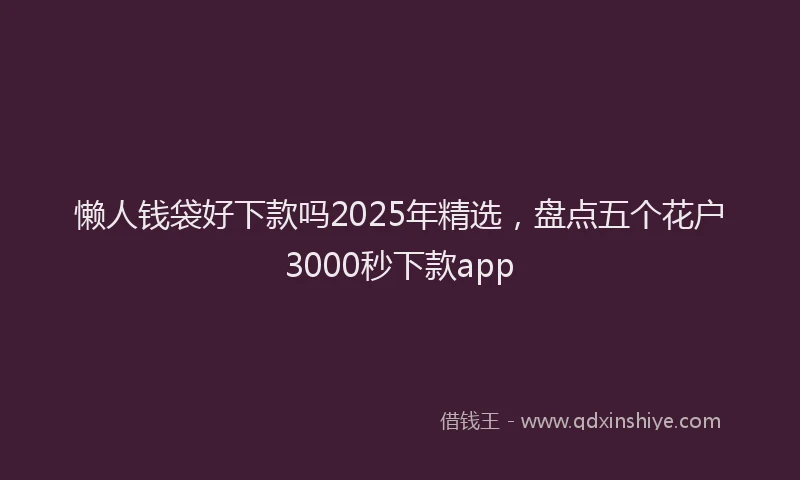 懒人钱袋好下款吗2025年精选，盘点五个花户3000秒下款app