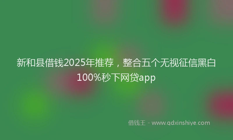 新和县借钱2025年推荐，整合五个无视征信黑白100%秒下网贷app