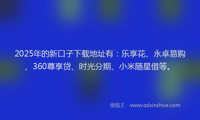 2025年的新口子下载地址有：乐享花、永卓易购、360尊享贷、时光分期、小米随星借等。