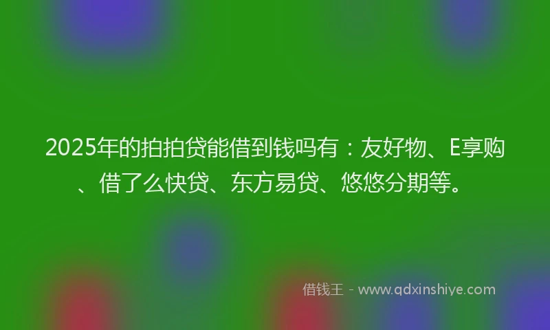 2025年的拍拍贷能借到钱吗有：友好物、E享购、借了么快贷、东方易贷、悠悠分期等。